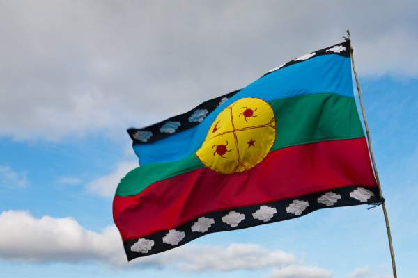 CULTURA MAPUCHE